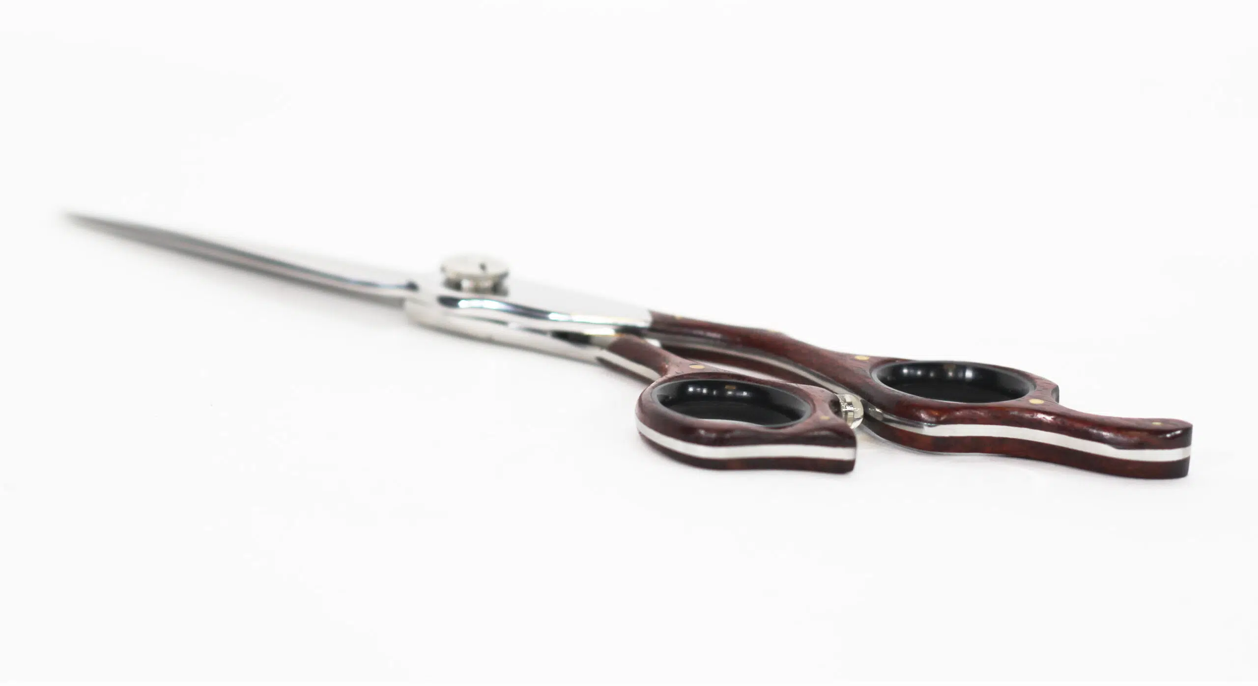 Ciseaux Douglas-6' Pour Droitier Non Micro-Denté - Raphaël Perrier – Image 2