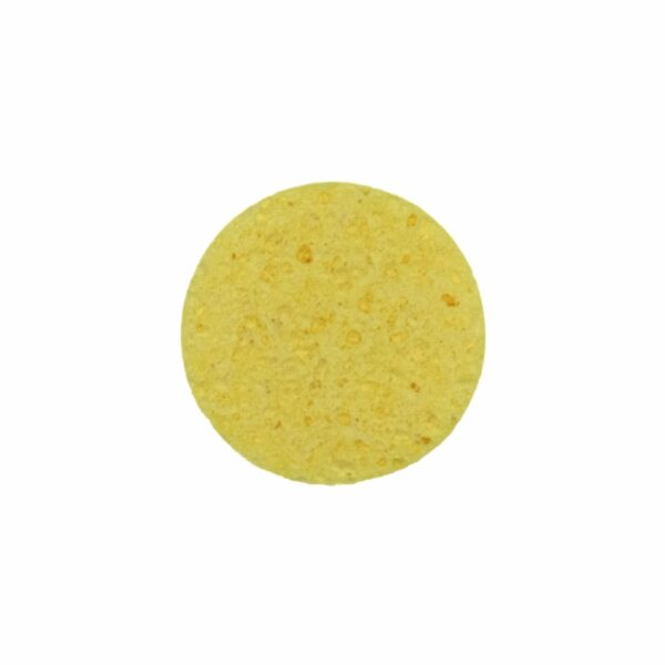 Eponges Vegetales Rondes – 1 Paire