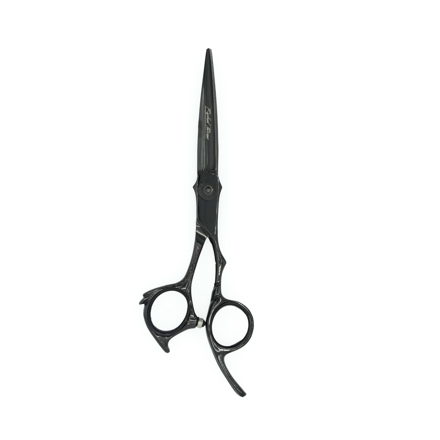 Ciseaux Luxury Black Droit 6' Pour Droitier - Raphaël Perrier