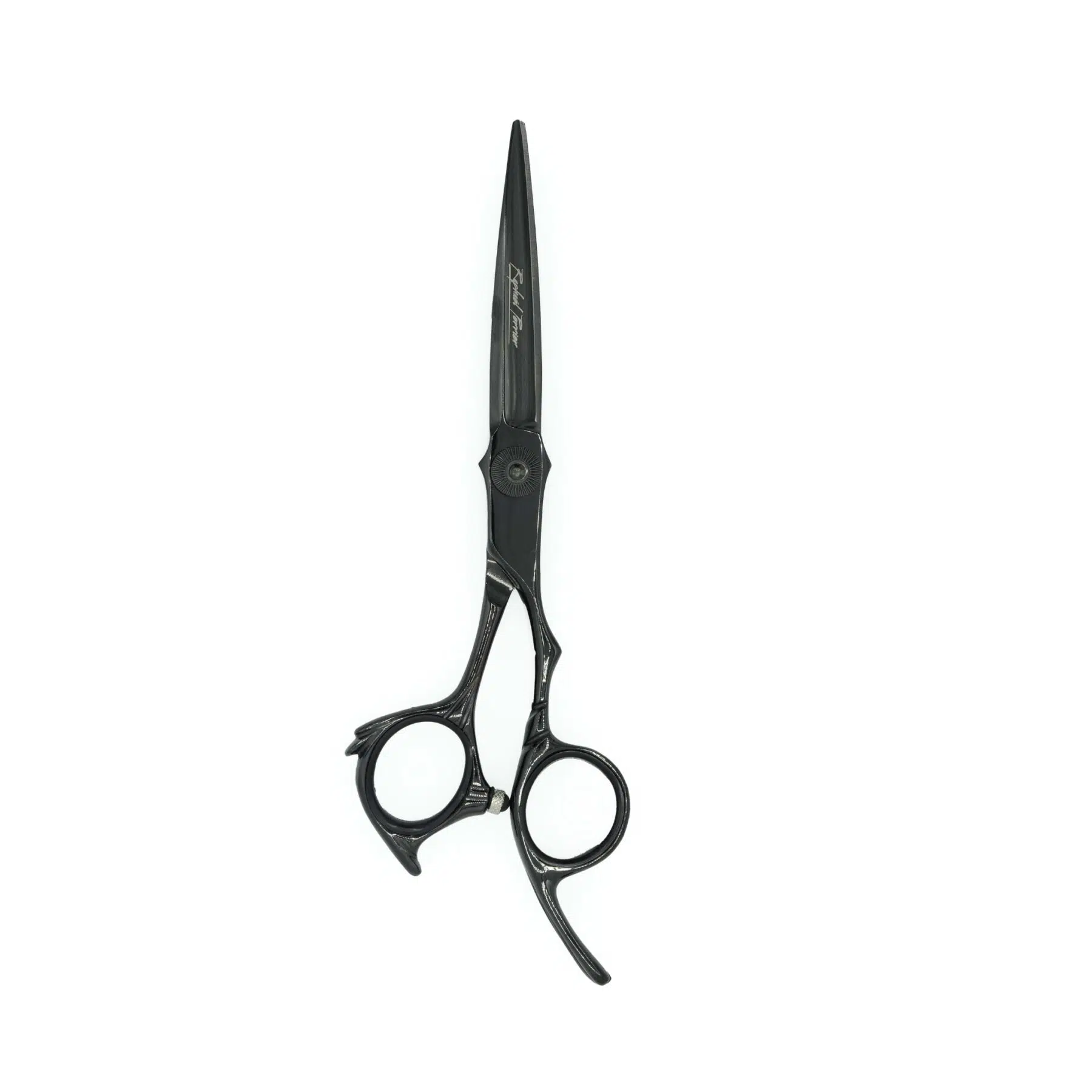 Ciseaux Luxury Black Droit 6' Pour Droitier - Raphaël Perrier