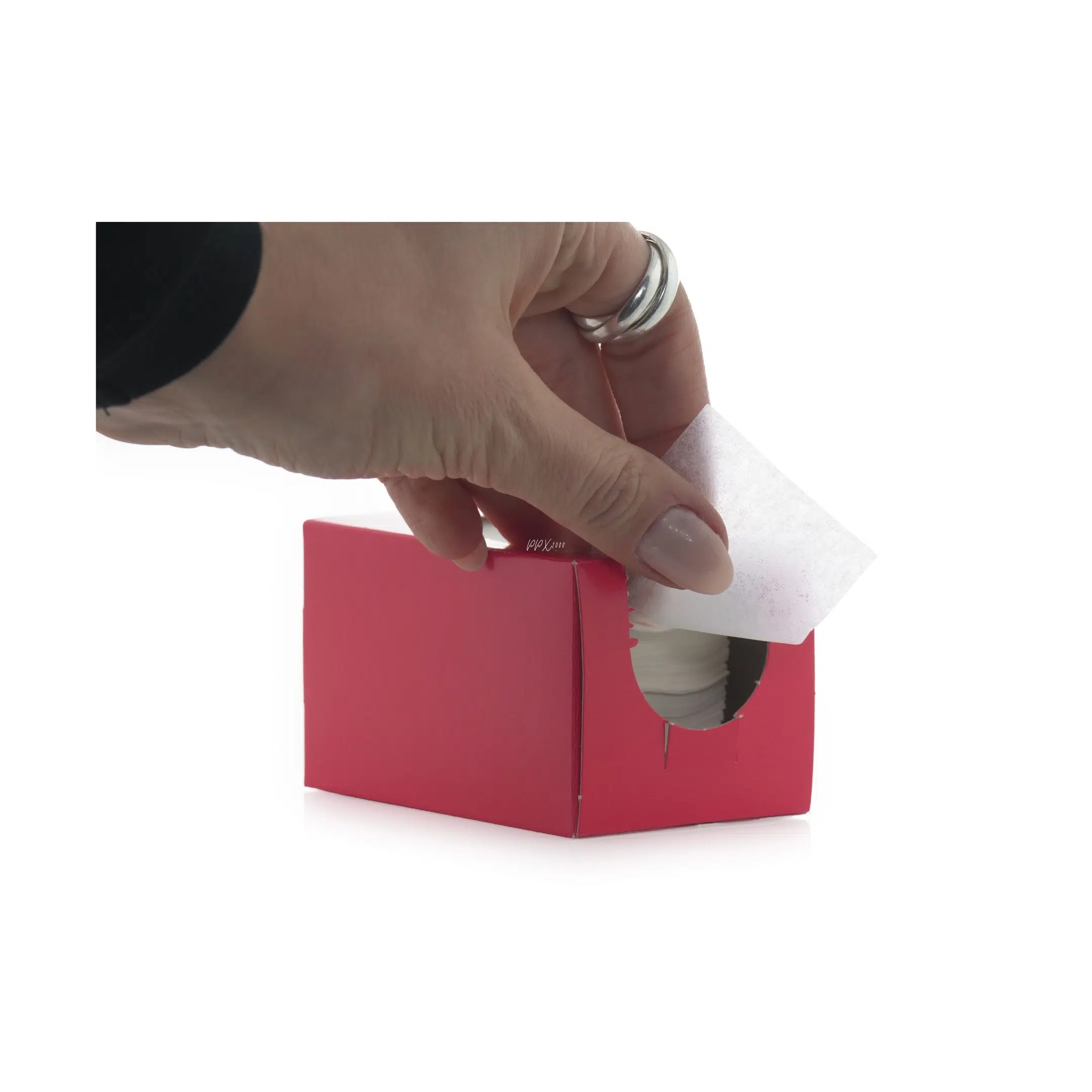 Papier Pointe x 1000 - Raphaël Perrier