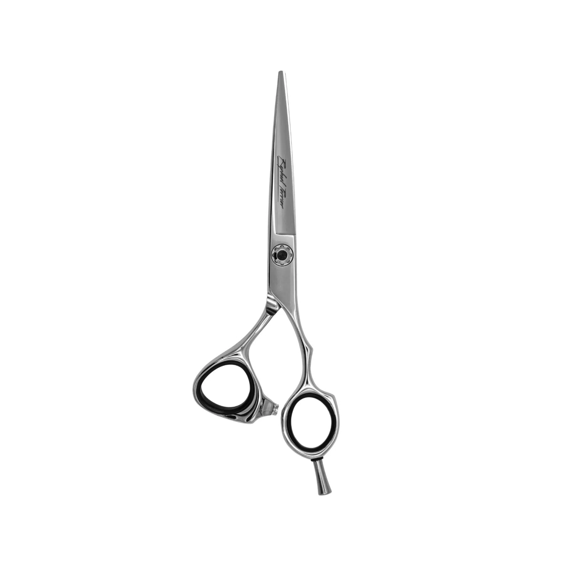 Ciseaux Iron Ergo Taille 6″ - Raphaël Perrier