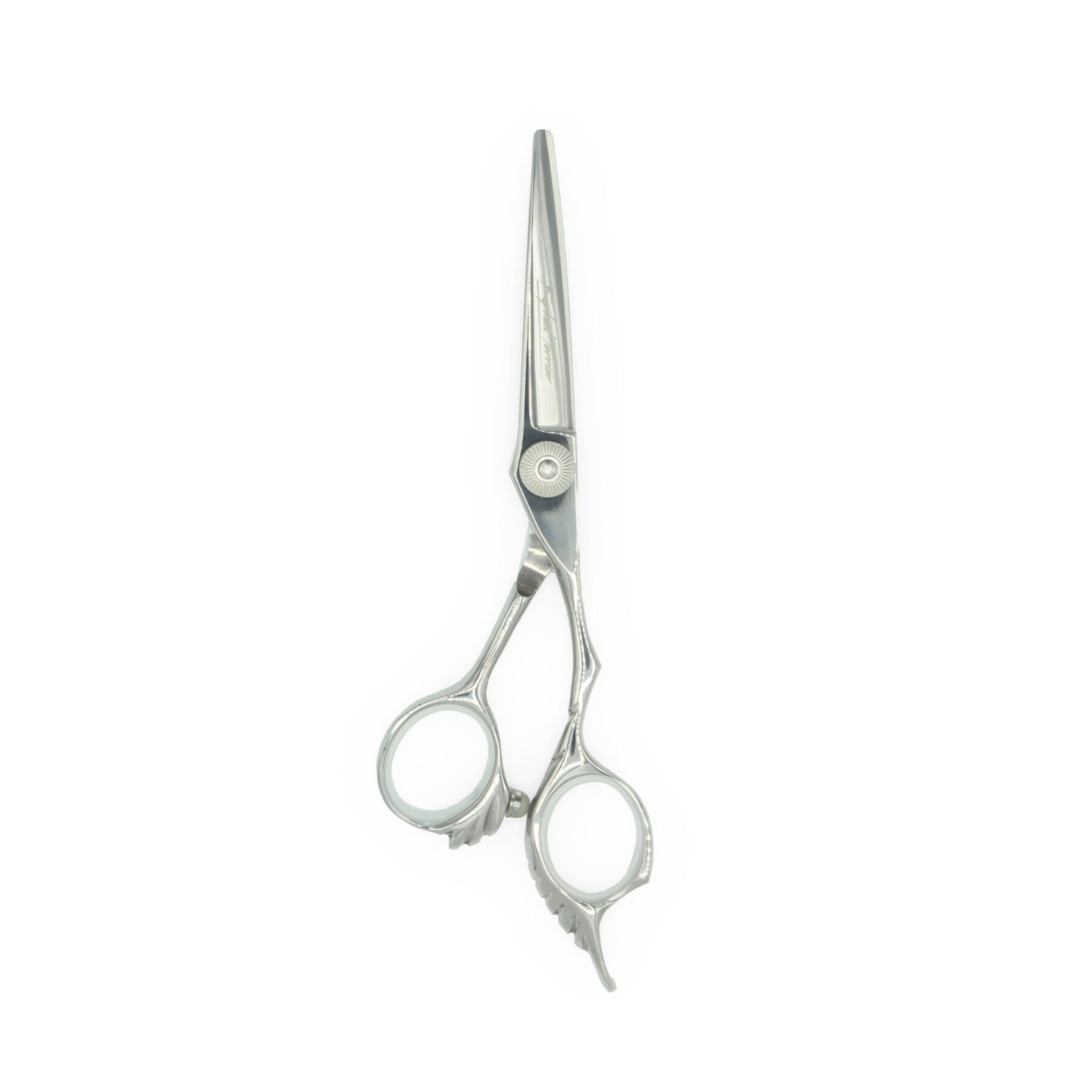 Ciseaux Ailes 6″ AK21 Non Micro-Dente - Raphaël Perrier